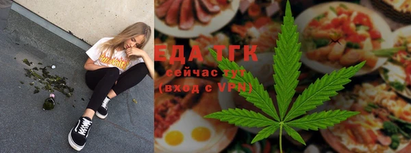 шишки Верея