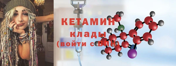 шишки Верея