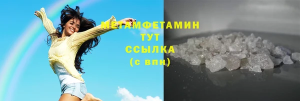шишки Верея