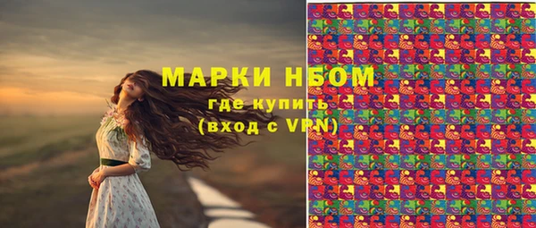 гашик Бородино