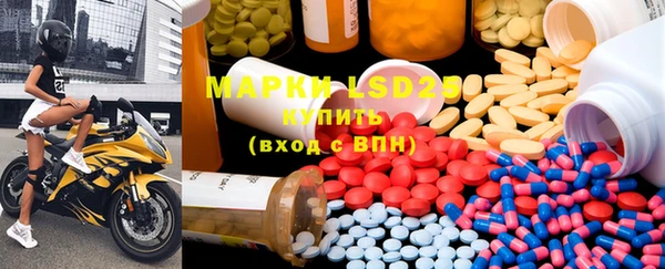 шишки Верея