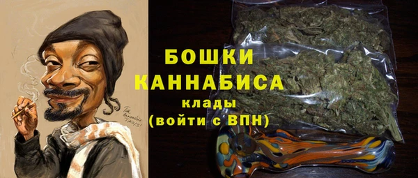 гашик Бородино