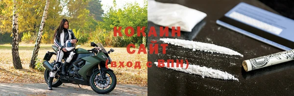 шишки Верея