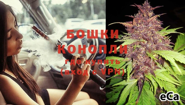 гашик Бородино